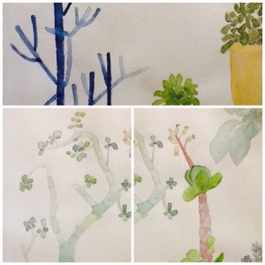 Jade plant, stick plant and others